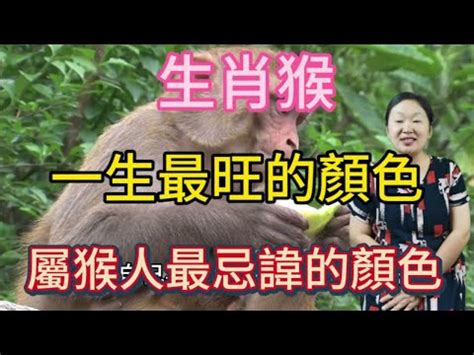 屬猴忌方位|【屬猴坐向】屬猴必看！最強坐向攻略：住對樓層、方位，財旺運。